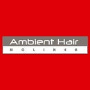 Ambient Hair