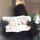 Gorilla Lou