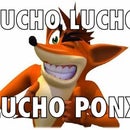 Lucho Ponx
