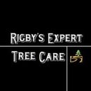 Rigby’s Expert Tree Care- The Original Roswell Tree Service LLC