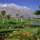 Palm Springs CA