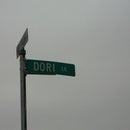 Dori B