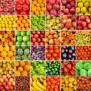 Fruta Organica