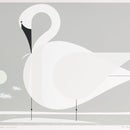 Swan C