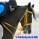 Abdulaziz Alb