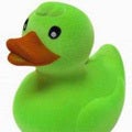 limeduck !