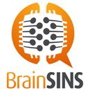 BrainSINS