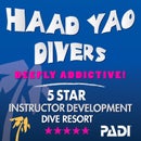 Haad Yao Divers
