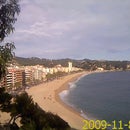 Lloretdemar