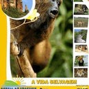 Portal do Araguaia Turismo