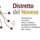 Distretto del Novese