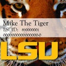 LSU Tiger Card