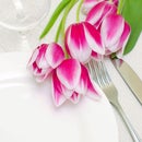 Tulips Culinary