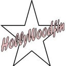HollyWoodfin