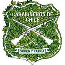 Carab de Chile