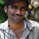 Ravi Sankar