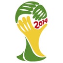 World Cup 2014