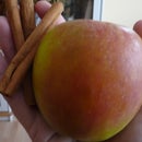 Zimt Apfel