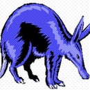 Virginia Aardvark