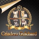 Criadero Guichard