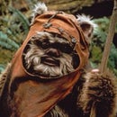 Wicket Warrick