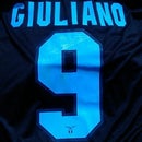 Giuliano J. Junior