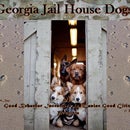Georgia Jail House Dogs Inc.