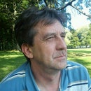 Johan De Witte