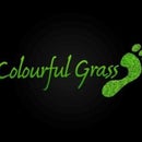 Colourful Grass Shoe