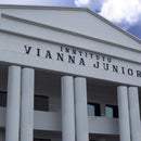 Instituto Vianna Júnior