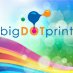 bigDOTprint