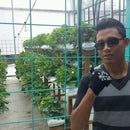 Mohd Ammar