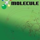 Molecule Sociedad Limitada