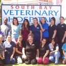 South Bay Veterinary Hospital