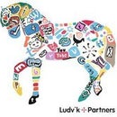 Ludvik + Partners