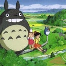 Totoro chan