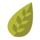 Genesis Forestry