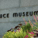 Bruce Museum