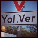 BelcE Yolver