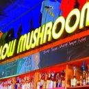 MellowMushroomTuscaloosa