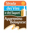 svs appenninobolognese