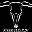 DJ Steer Clear