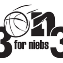 3 on 3 for Niebs