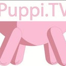 Puppi.TV