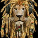 Rasta Blood