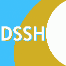 Dutch Society for Simulation in Healthcare DSSH