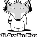 Dj Aydin Fox