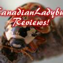Canadianladybug