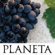 Planeta Winery