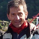 Maurizio Motta